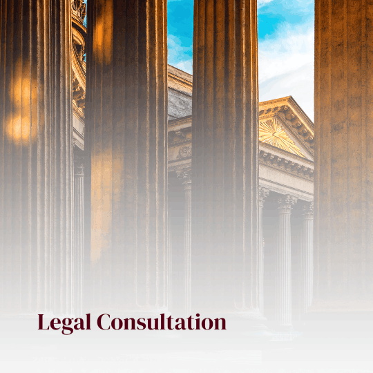 Legal Consultation