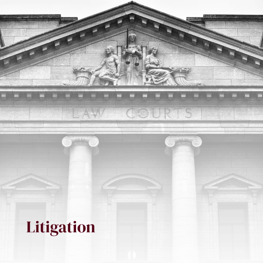 Litigation